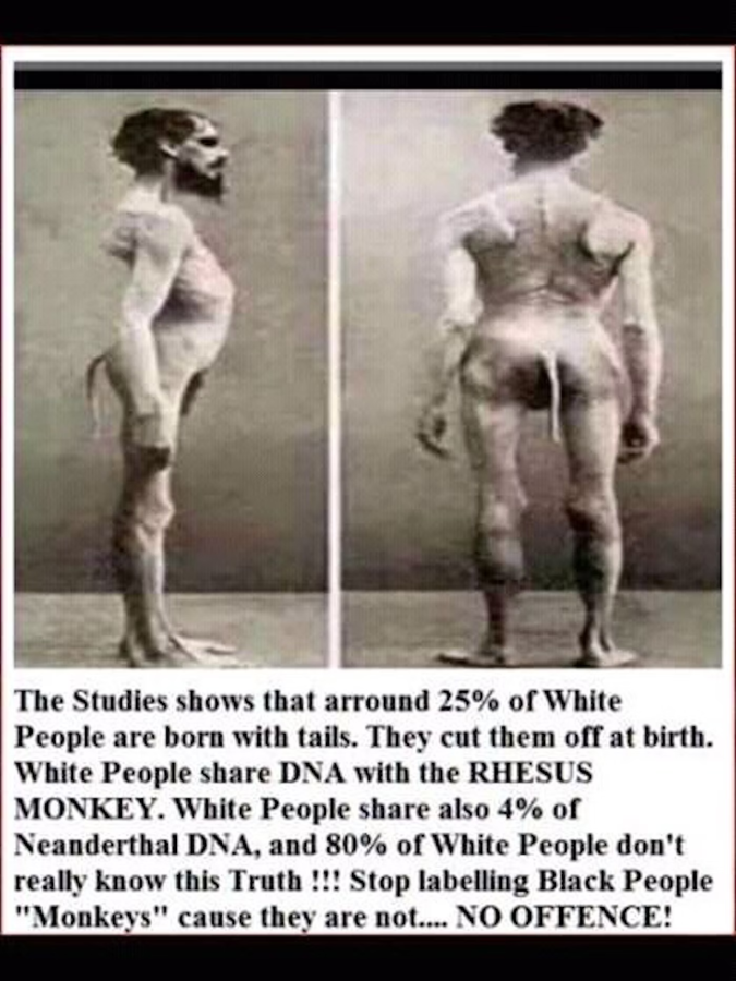 Click image for larger version

Name:	image.png
Views:	54
Size:	577.3 KB
ID:	8461